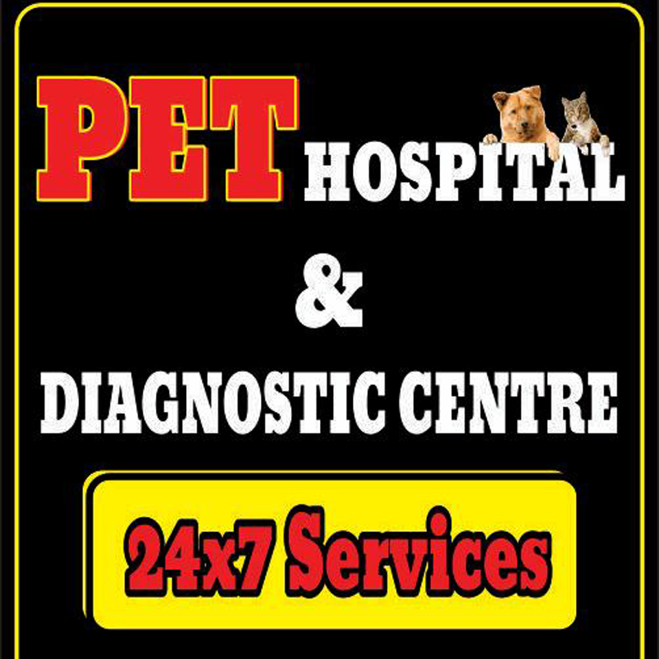 best pet clinic in dehradun